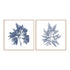 Navy Seaweed I and II Wall Art