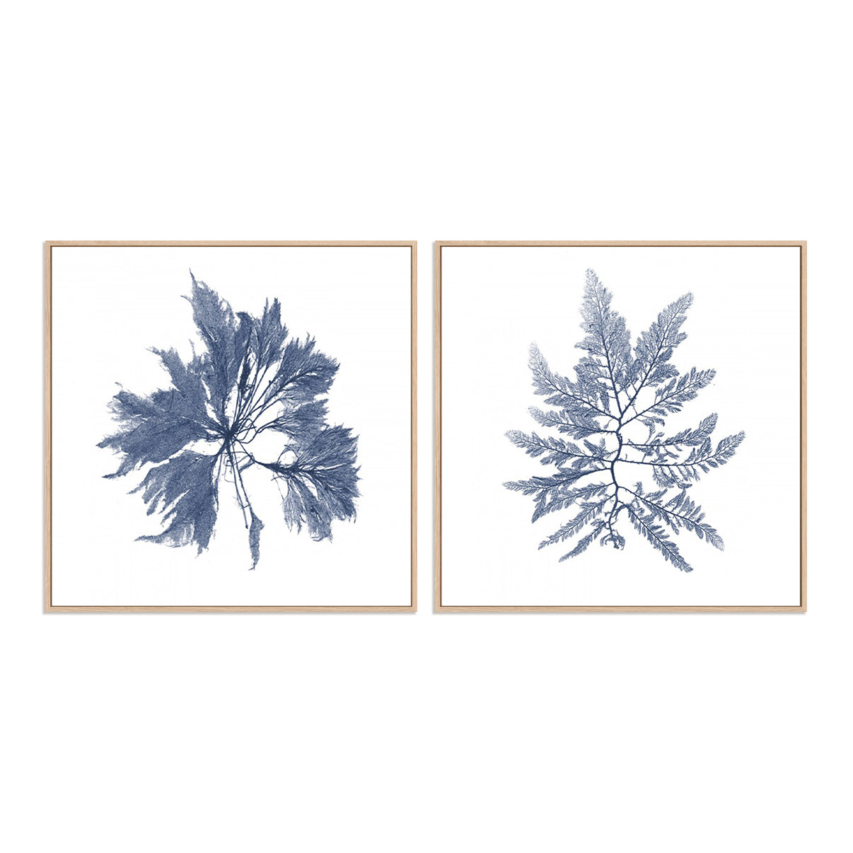 Navy Seaweed I and II Wall Art