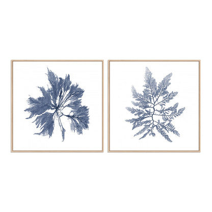 Navy Seaweed I and II Wall Art