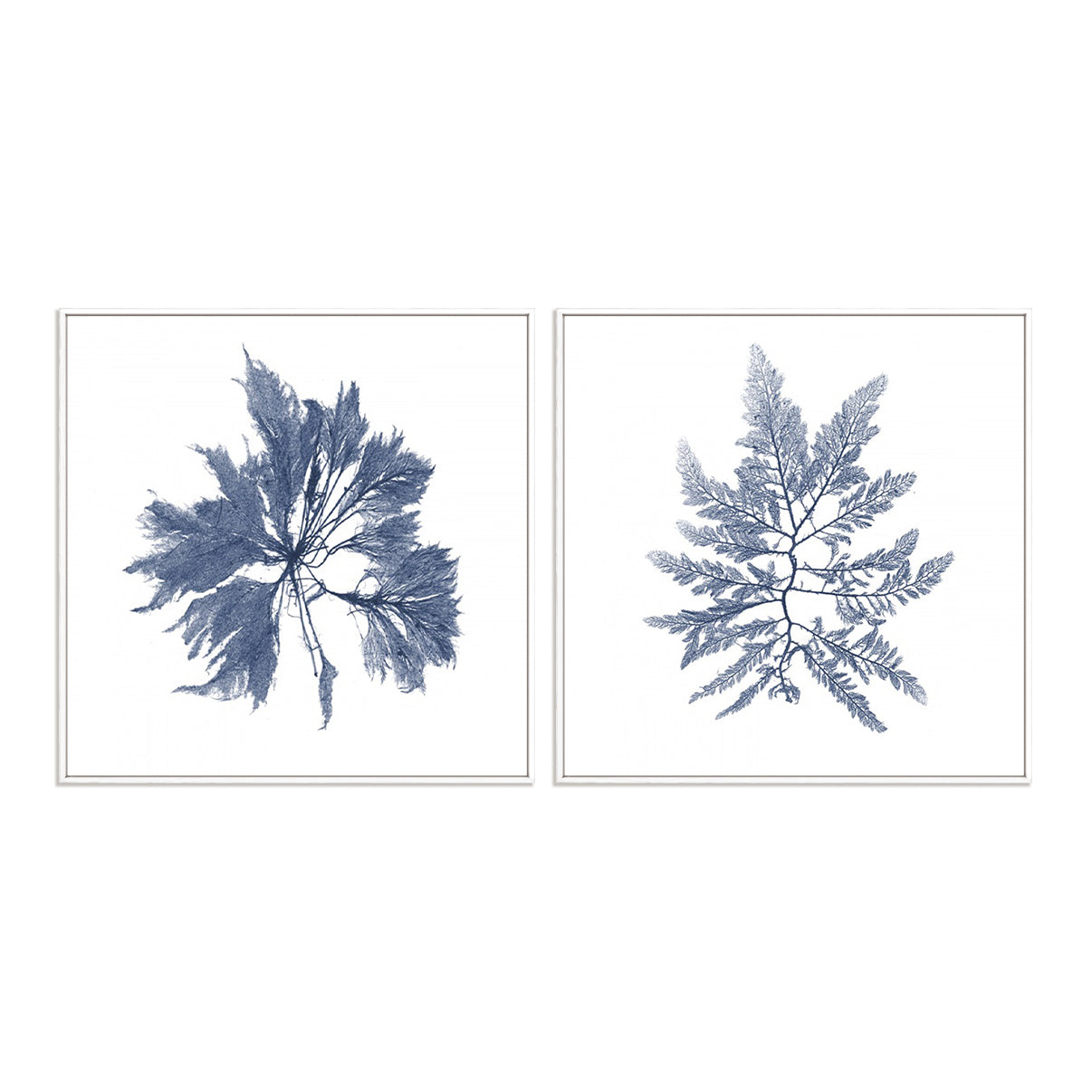 Navy Seaweed I and II Wall Art