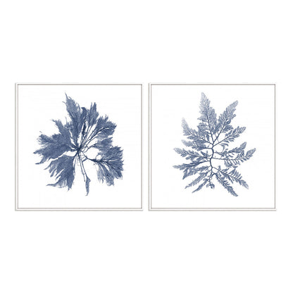 Navy Seaweed I and II Wall Art