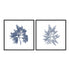 Navy Seaweed I and II Wall Art