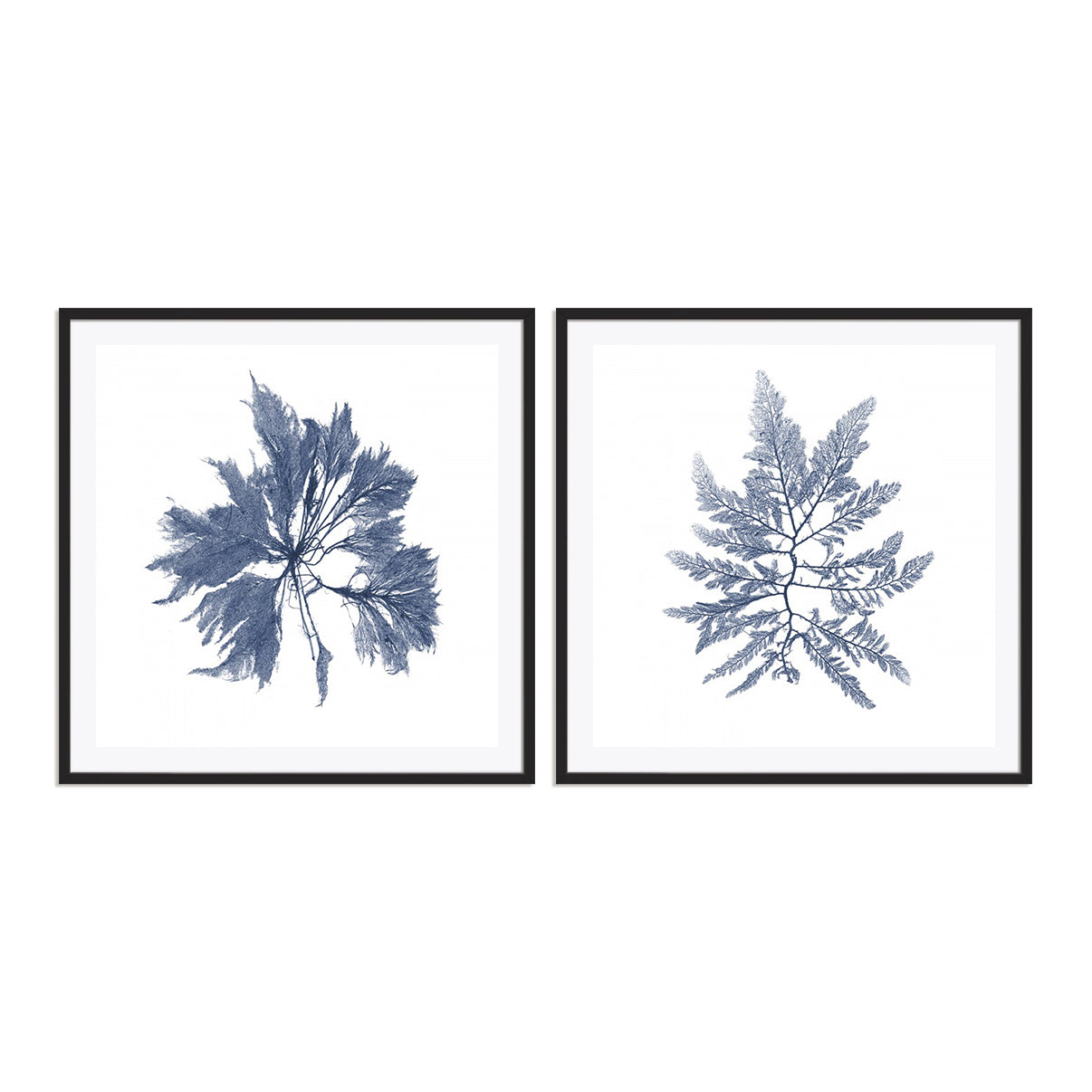 Navy Seaweed I and II Wall Art