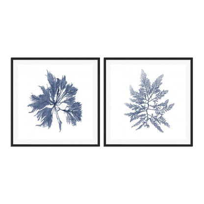 Navy Seaweed I and II Wall Art