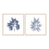 Navy Seaweed I and II Wall Art