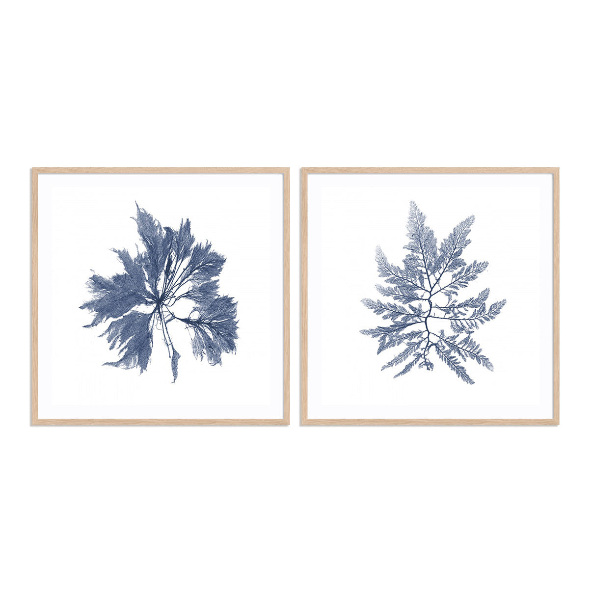 Navy Seaweed I and II Wall Art