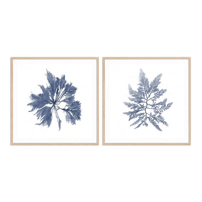 Navy Seaweed I and II Wall Art