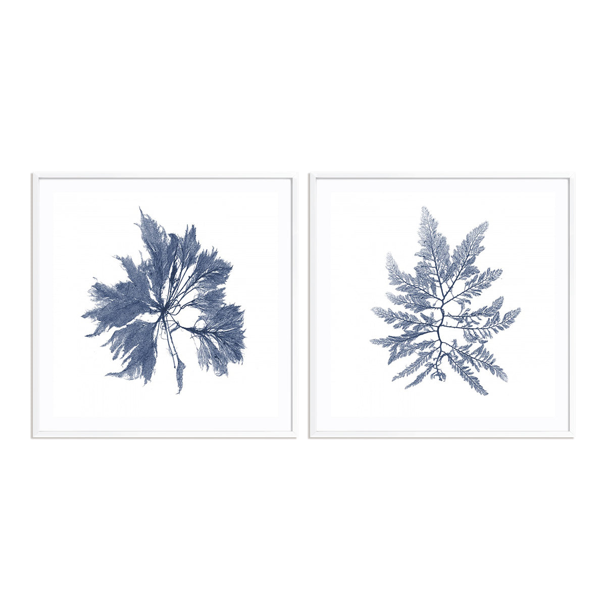 Navy Seaweed I and II Wall Art
