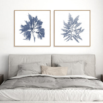 Navy Seaweed I and II Wall Art