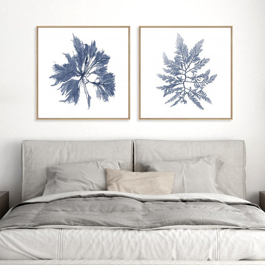 Navy Seaweed I and II Wall Art