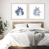 Navy Seaweed I and II Wall Art