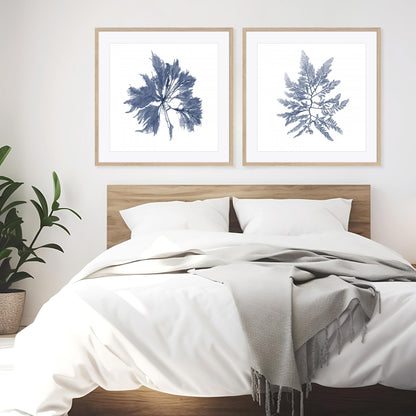Navy Seaweed I and II Wall Art