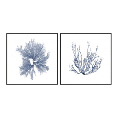 Navy Seaweed IV and III Wall Art