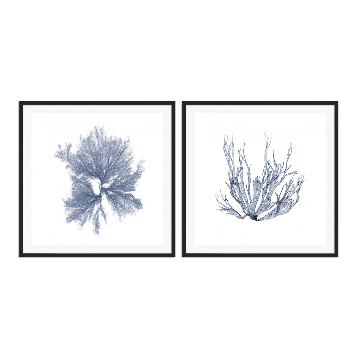 Navy Seaweed IV and III Wall Art