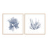 Navy Seaweed IV and III Wall Art