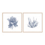 Navy Seaweed IV and III Wall Art