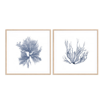 Navy Seaweed IV and III Wall Art