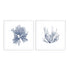 Navy Seaweed IV and III Wall Art