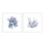 Navy Seaweed IV and III Wall Art