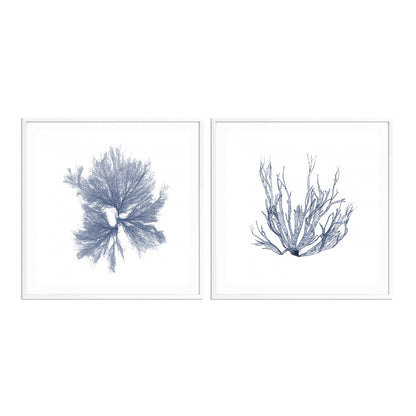 Navy Seaweed IV and III Wall Art
