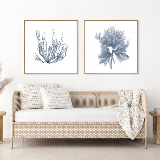 Navy Seaweed IV and III Wall Art
