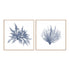 Navy Seaweed V and VI Wall Art
