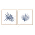 Navy Seaweed V and VI Wall Art