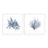 Navy Seaweed V and VI Wall Art