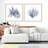 Navy Seaweed V and VI Wall Art