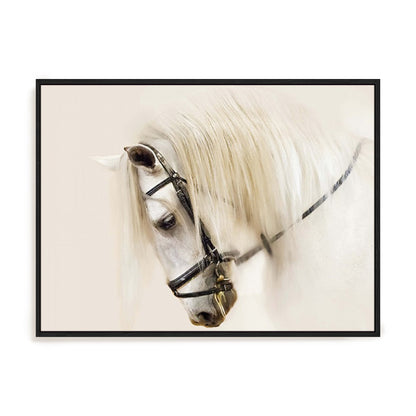 Purebred II