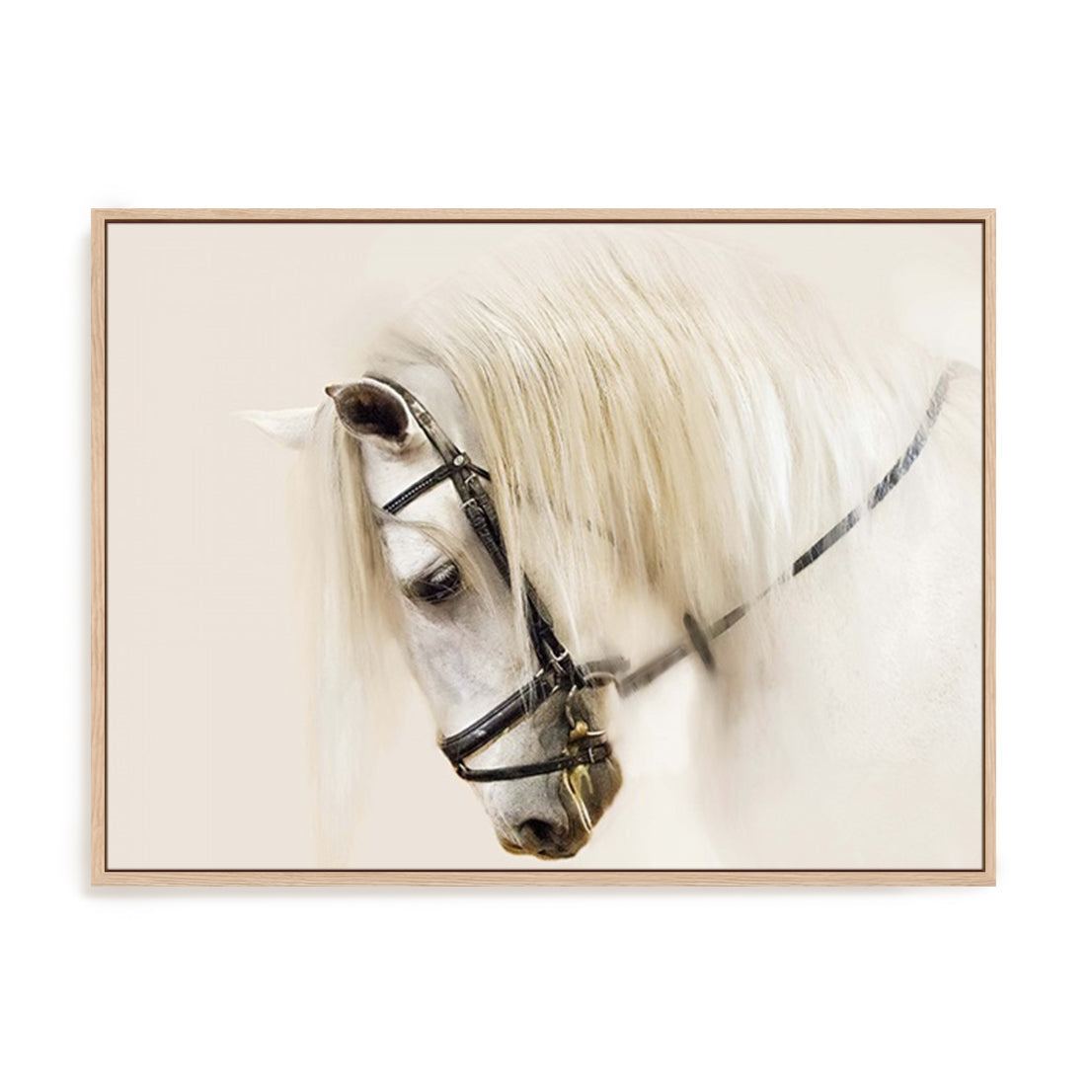 Purebred II