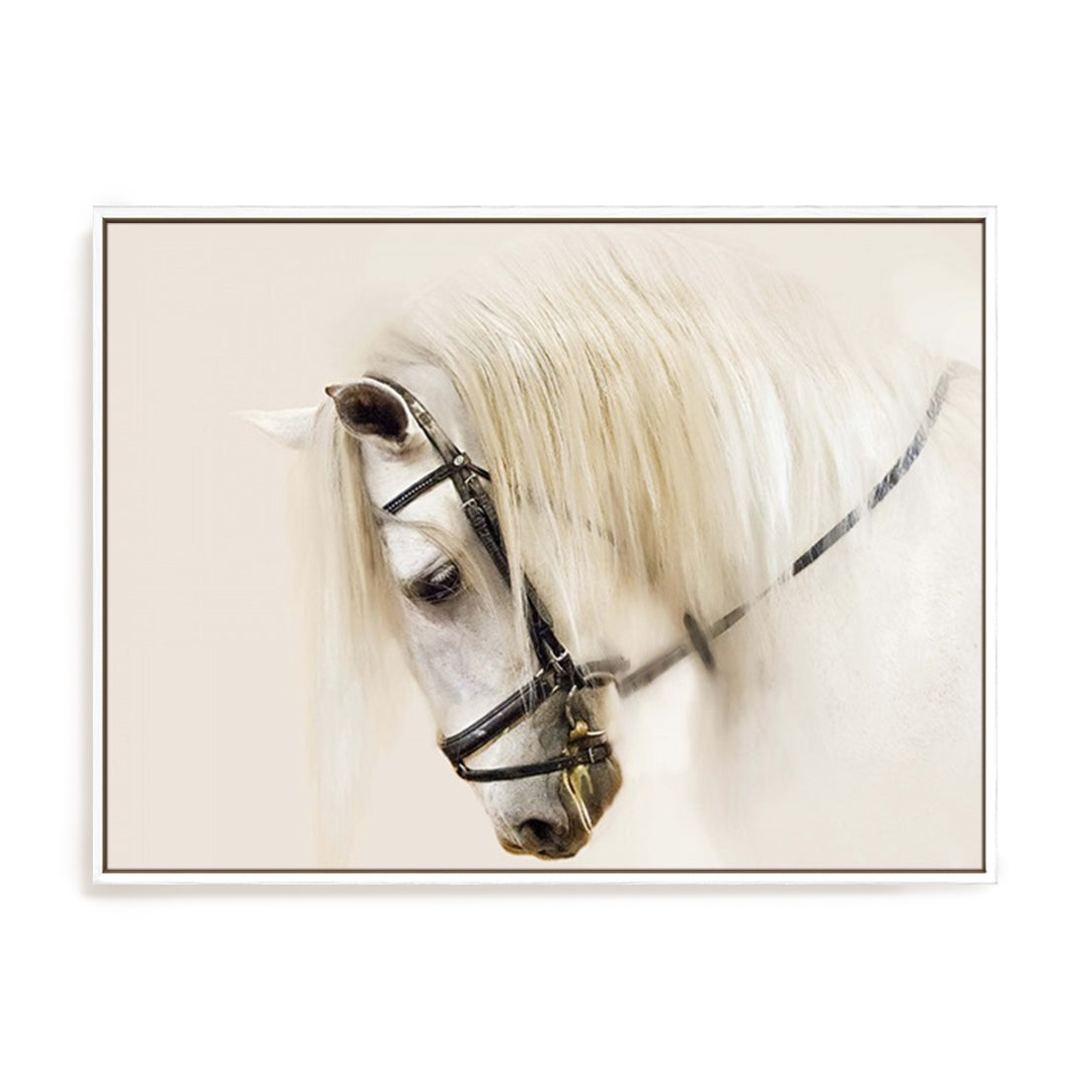 Purebred II
