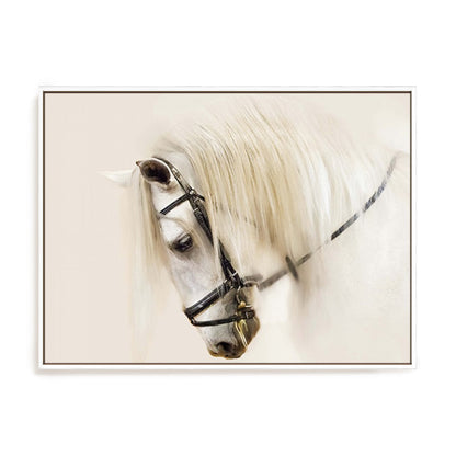 Purebred II