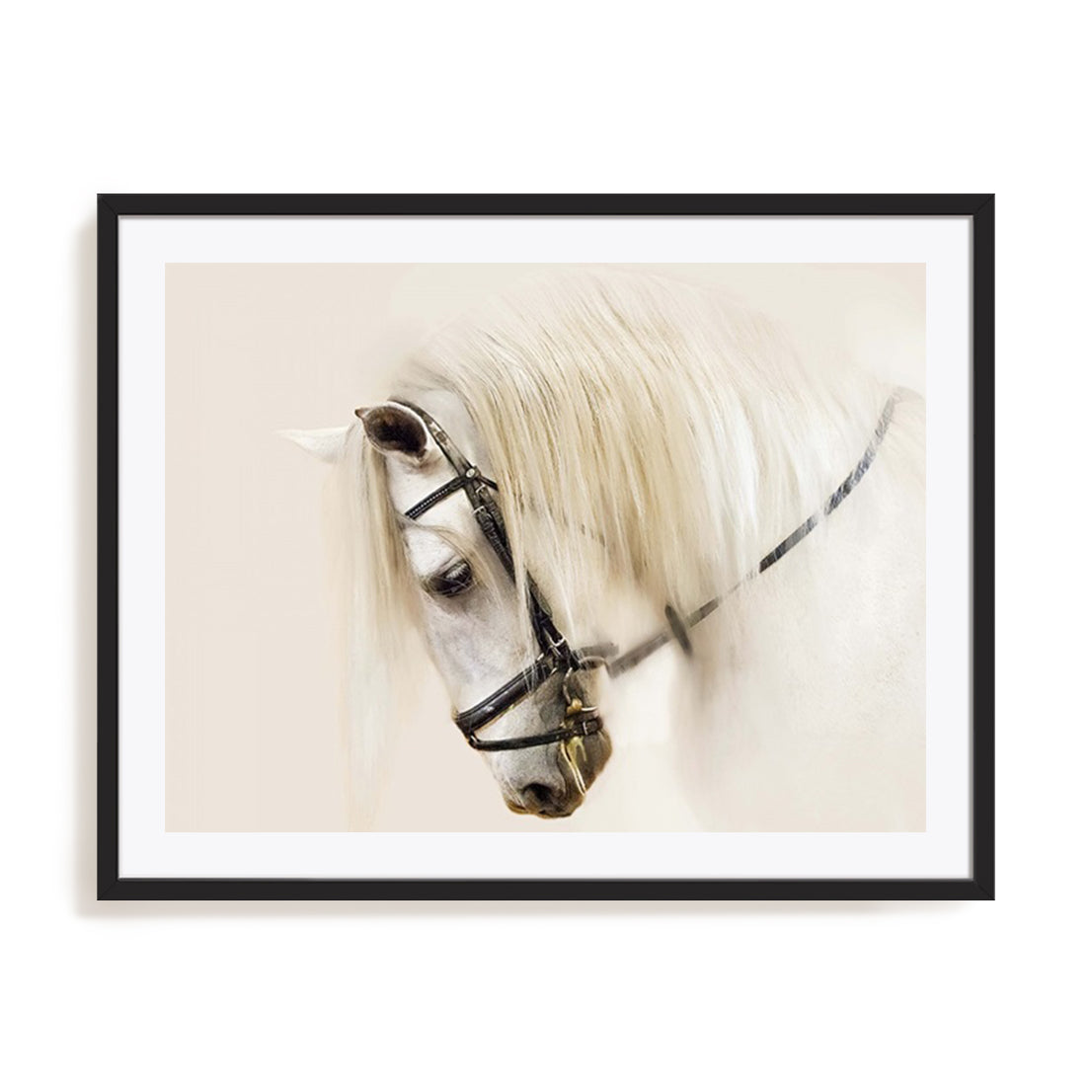 Purebred II