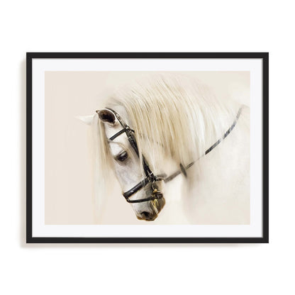 Purebred II