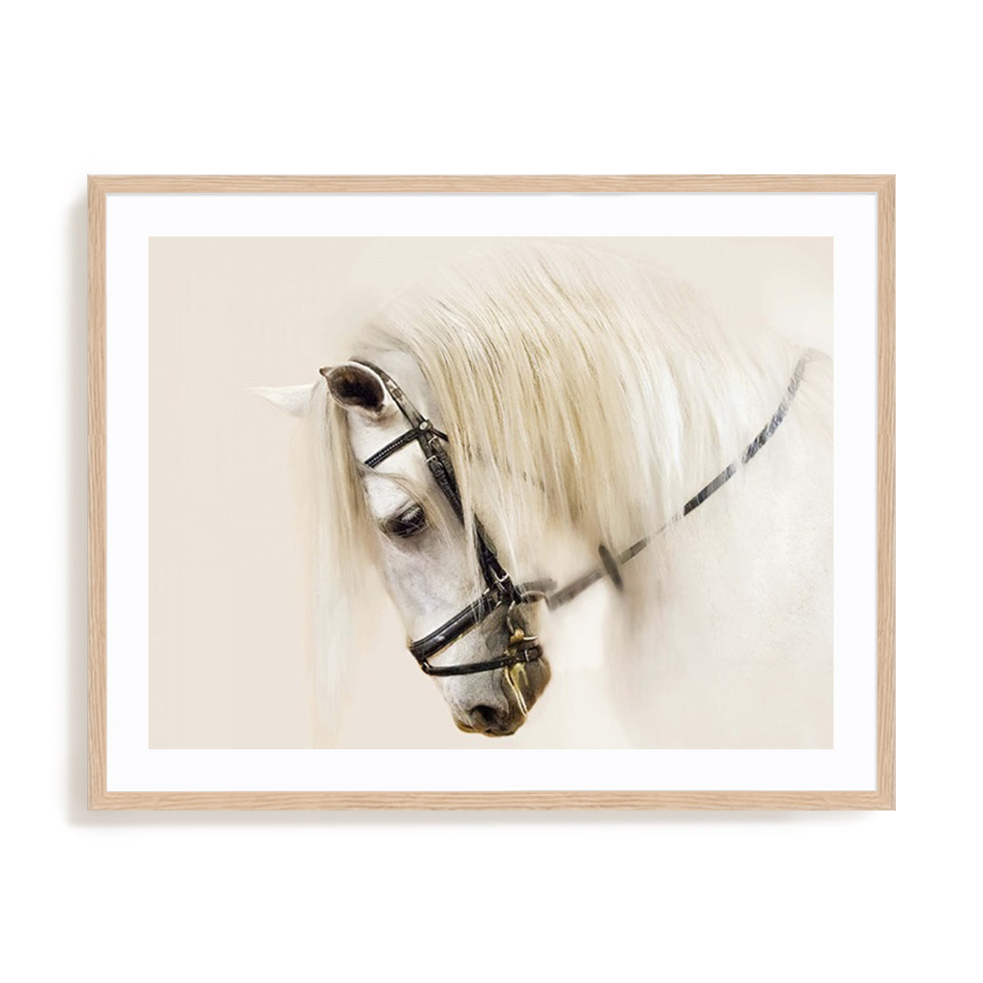 Purebred II
