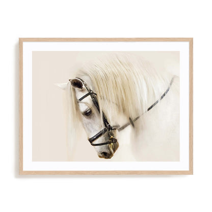 Purebred II