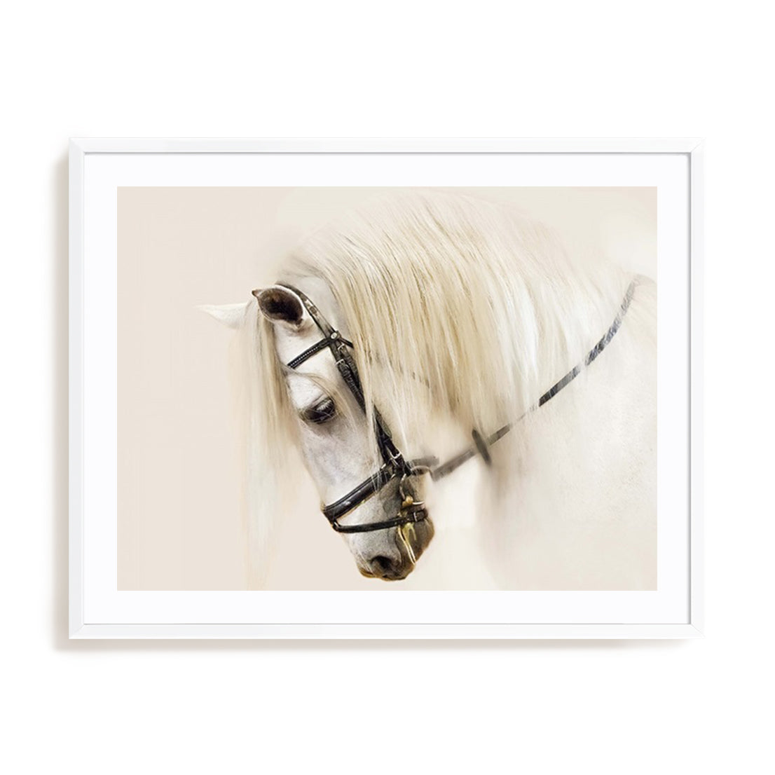 Purebred II