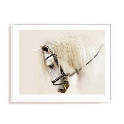 Purebred II