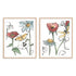 Pair Boho Florals IV and VI Wall Art