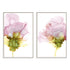 Blooming Pink I and II Wall Art