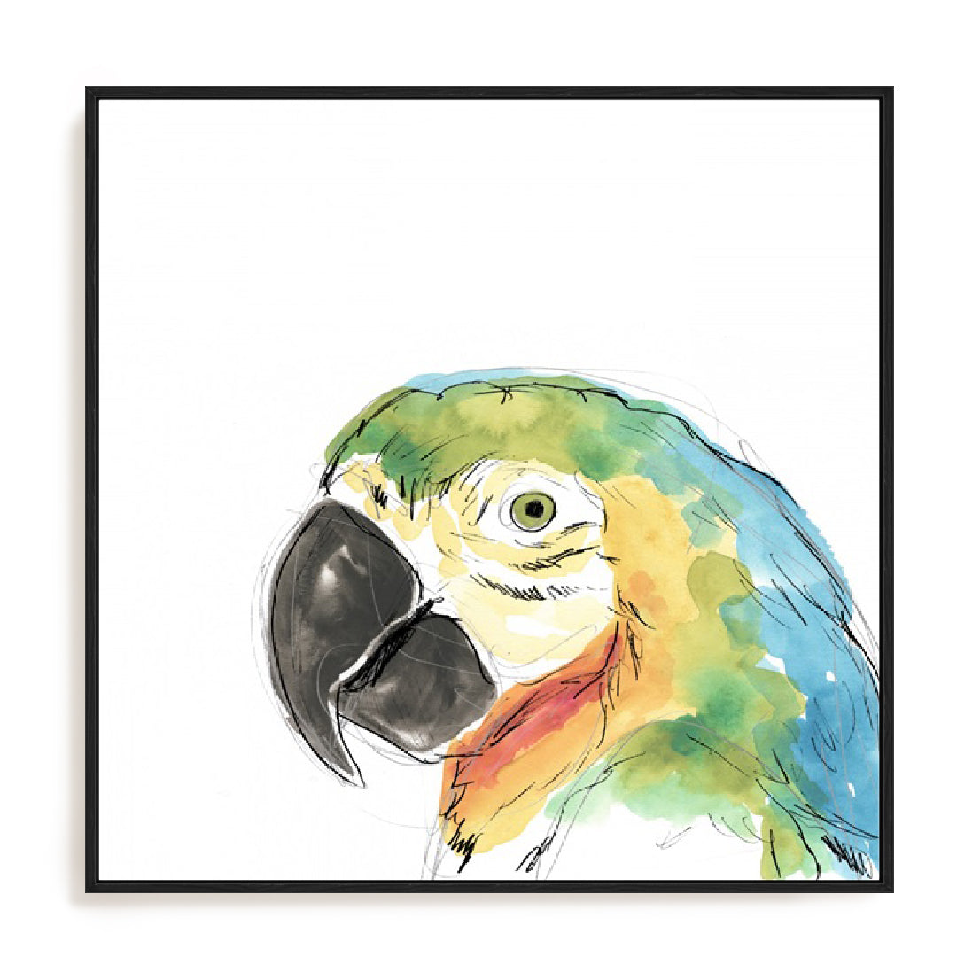 Tropical Bird Portrait I Wall Art