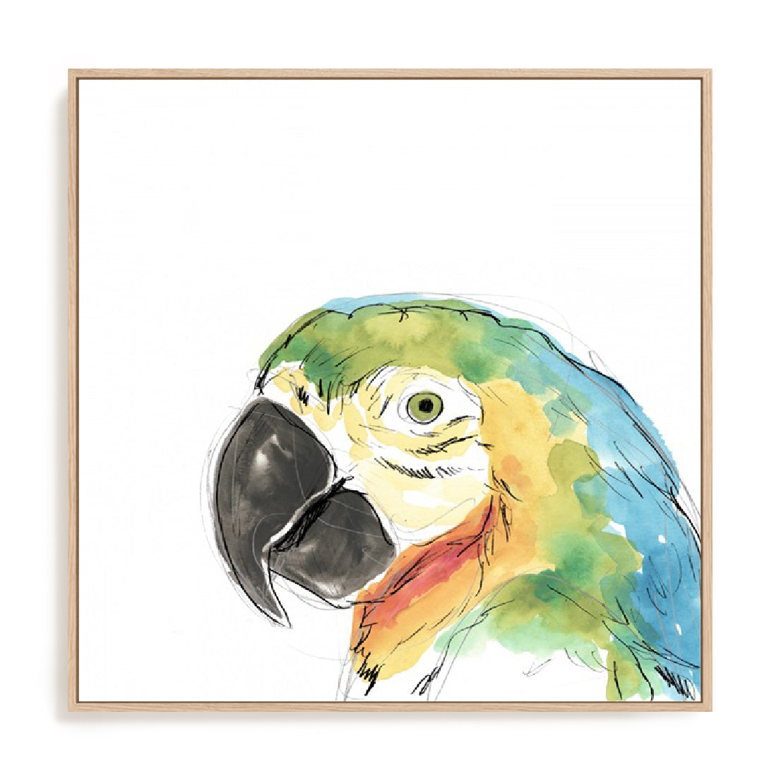 Tropical Bird Portrait I Wall Art