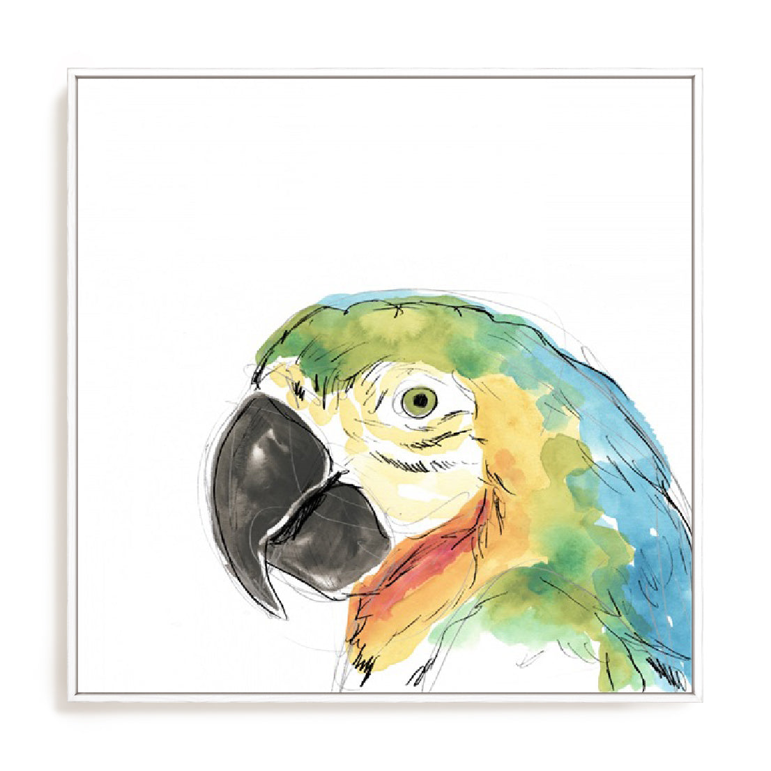 Tropical Bird Portrait I Wall Art
