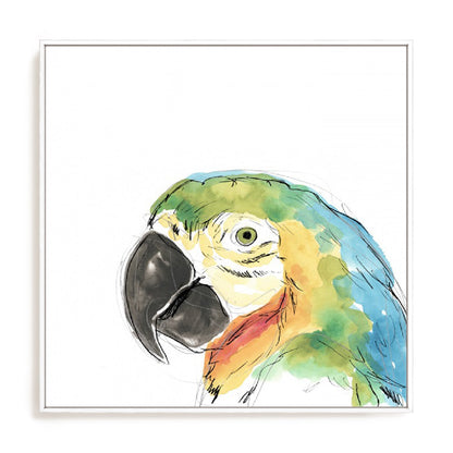 Tropical Bird Portrait I Wall Art