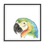 Tropical Bird Portrait I Wall Art