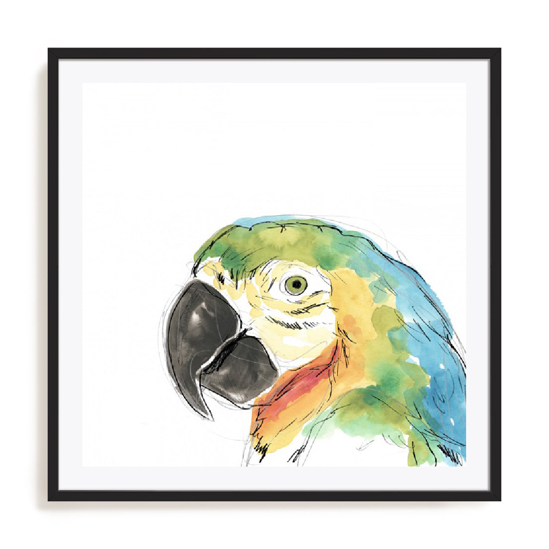 Tropical Bird Portrait I Wall Art