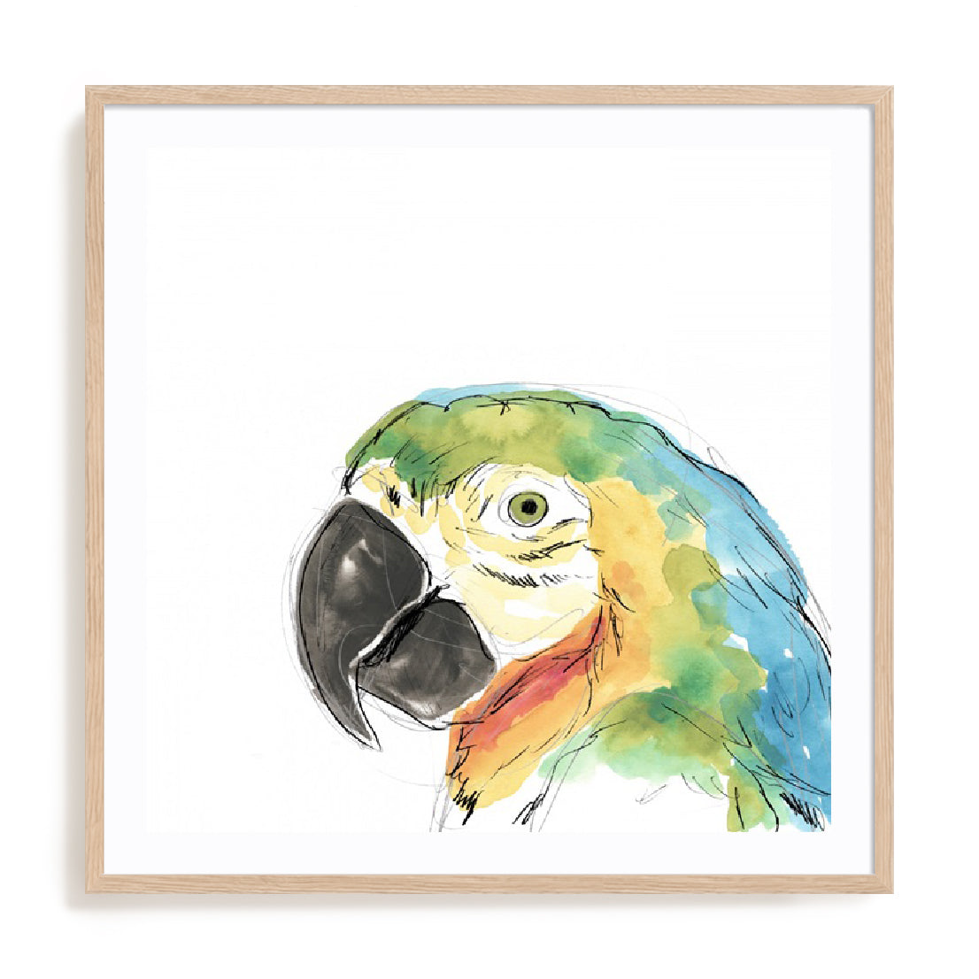 Tropical Bird Portrait I Wall Art