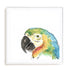 Tropical Bird Portrait I Wall Art