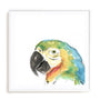 Tropical Bird Portrait I Wall Art